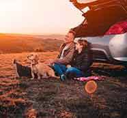 自动攻击网站工具下载