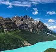 ddos压力测试网页端